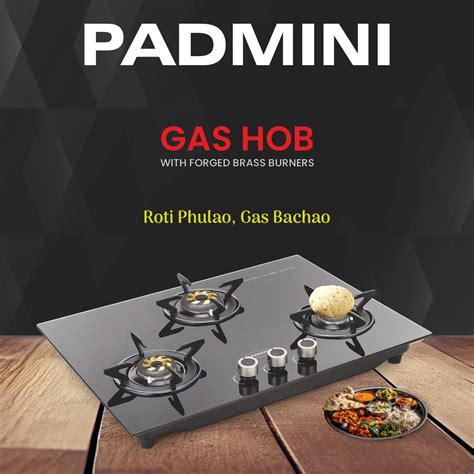 padmini gas stove service centre near me